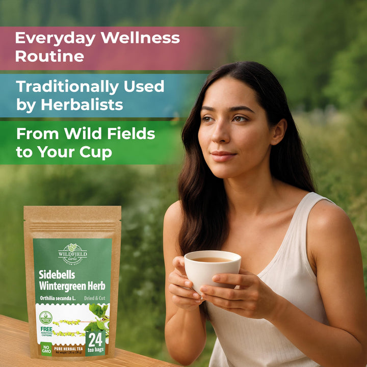24 Bags Dried Cut Sidebells Wintergreen Herb Tea (Orthilia Secunda ...