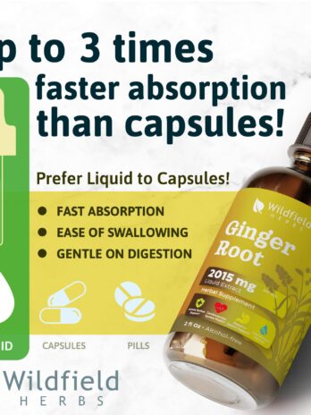 Ginger Tincture Ginger Root Extract 2015 mg (Zingiber officinale L.) Ginger Extract Liquid Drops Herbal Supplement Absorbs Better Than Capsules, 1 Month Supply, 84 Servings, Alcohol-Free – 2 Oz