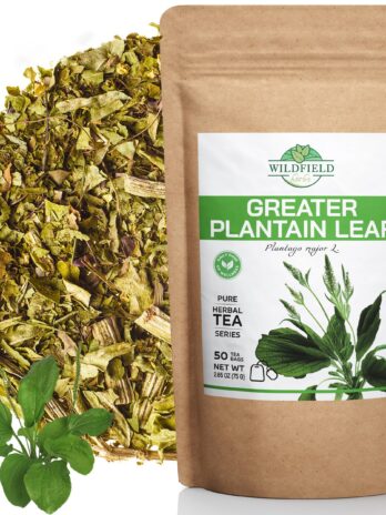 50 Bags Broadleaf Plantain Leaf Herb Tea (Plantago Majoris Folia) Plantain Leaf Tea – 50 Count 1.5 g Tea Bags