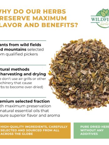 4 oz. Celandine Herb Herbal Tea (Chelidonia) – 113g Pigweed Herb Tea Celidonia