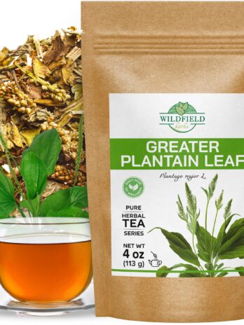 WILDFIELD HERBS 4 oz. Plantain Leaf Herb Tea Dried Plaintains (Plantago Majoris Folia) – 113g Greater Broadleaf Plantain Leaf Tea