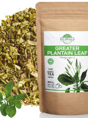 20 bags Broadleaf Plantain Leaf Herb Tea (Plantago Majoris Folia) Plantain Leaf Tea – 20 Count 1.5 g Tea Bags