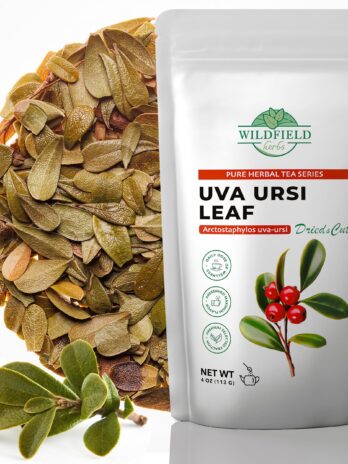 4 oz. Uva Ursi Leaf Uva Ursi Tea Herbal (Arctostaphylos uva-ursi) – 113g Uva-ursi Herb Tea Arctostaphylos uva-ursi