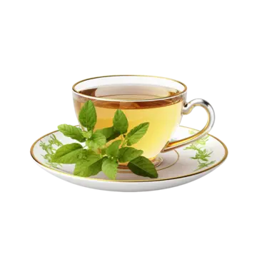 herbal-tea-cup-with-mint-isolate-png-image_11875088